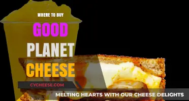 Discover the Best Stores to Buy Delicious Planet Cheese Today