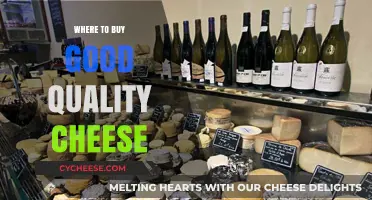 Discover the Best Places to Buy Premium Quality Cheese