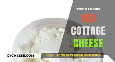 Discover the Best Sources for Grass-Fed Cottage Cheese Today