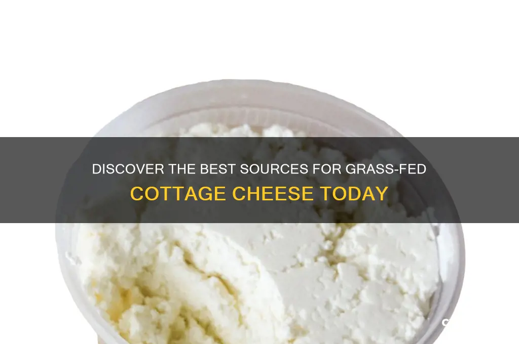 where to buy grass fed cottage cheese