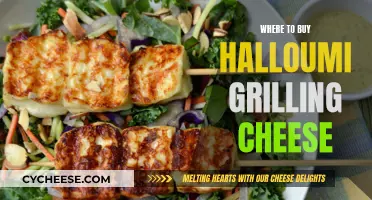 Best Places to Buy Halloumi Grilling Cheese