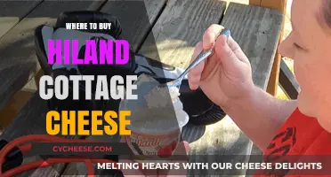 Discover the Best Places to Buy Hiland Cottage Cheese Today