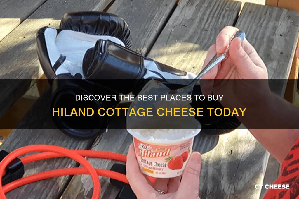 where to buy hiland cottage cheese