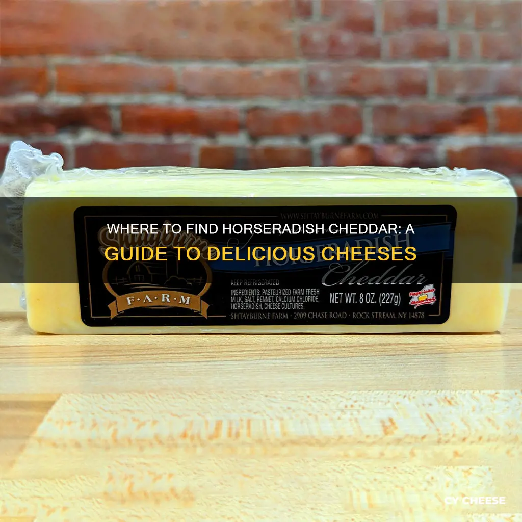 where to buy horseradish cheddar cheese