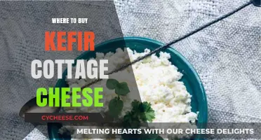 Discover the Best Places to Buy Kefir Cottage Cheese