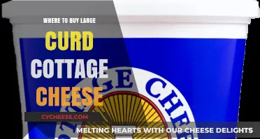 Discover the Best Places to Buy Large Curd Cottage Cheese