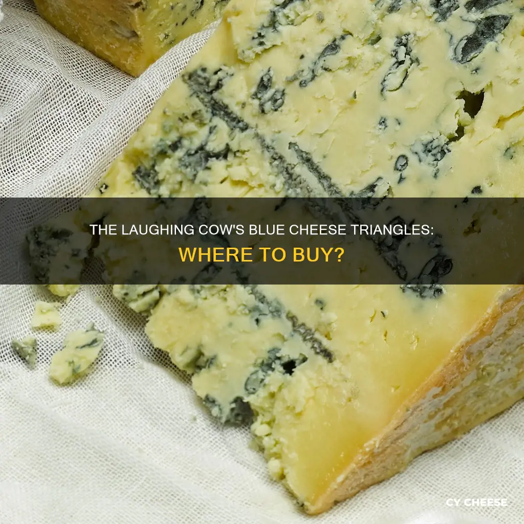 where to buy laughing cow blue cheese triangles