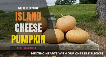 Best Places to Buy Long Island Cheese Pumpkins