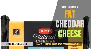 Where to Find Affordable Low-Fat Cheddar Cheese: A Guide