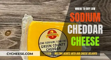 Find the Best: Top Sources for Low-Sodium Cheddar Cheese