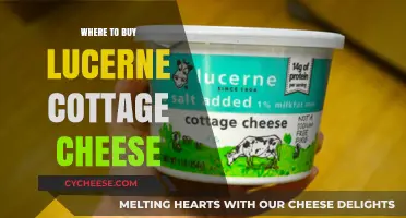 Discover the Best Places to Buy Lucerne Cottage Cheese Today