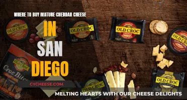 San Diego's Best Cheddar: Top Sources for Mature Cheese