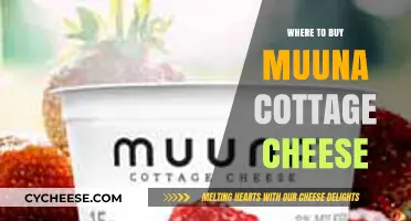 Discover the Best Places to Buy Muuna Cottage Cheese Today