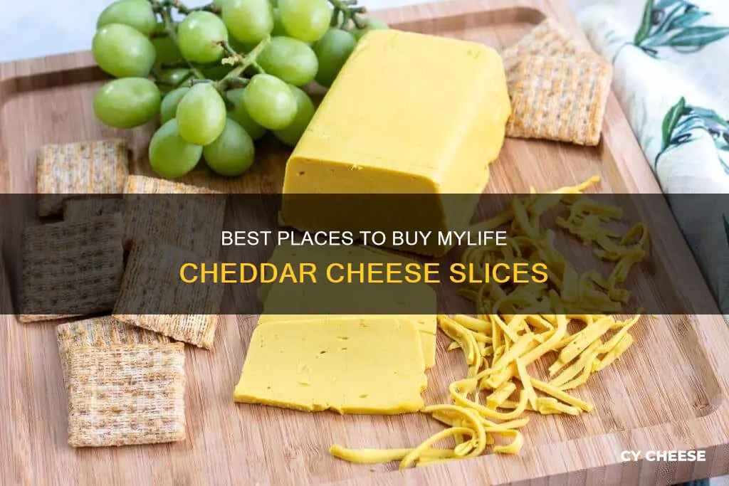 where to buy mylife biocheese cheddar cheese slices
