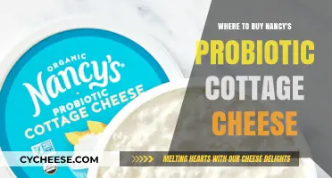 Where to Find Nancy's Probiotic Cottage Cheese: Top Retailers & Online Stores