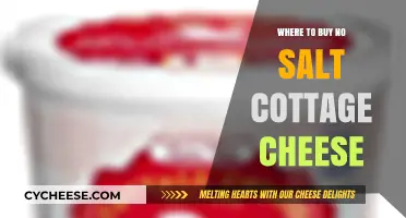 Where to Find No Salt Cottage Cheese: Top Stores and Brands