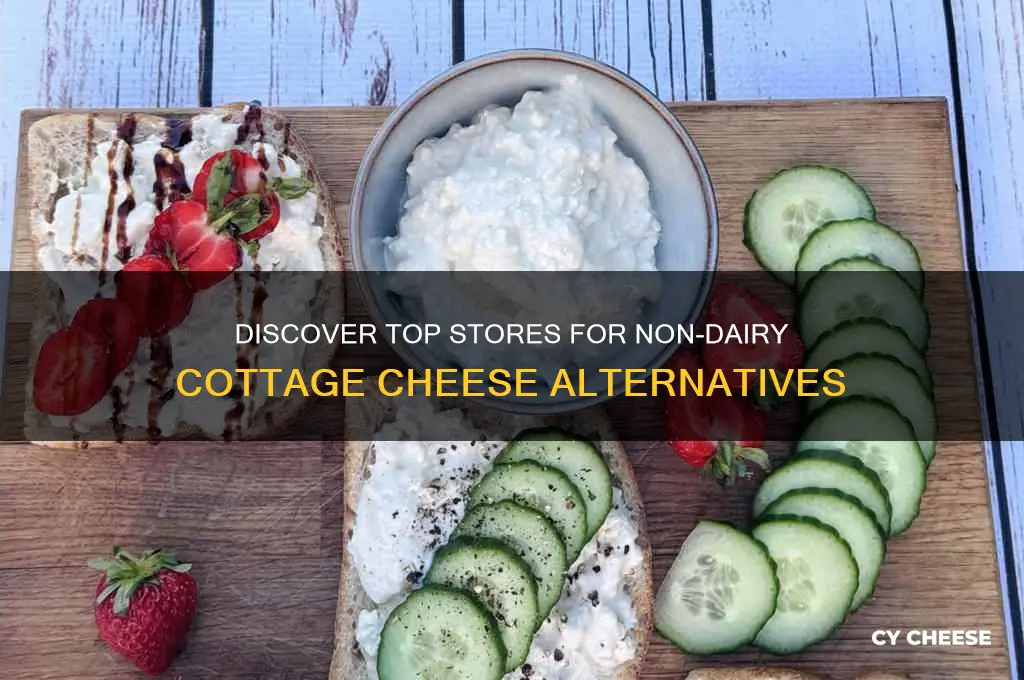 where to buy non dairy cottage cheese