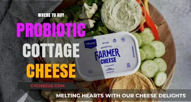 Discover the Best Places to Buy Probiotic Cottage Cheese