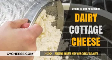 Discover Top Retailers for Producers Dairy Cottage Cheese: A Buyer's Guide