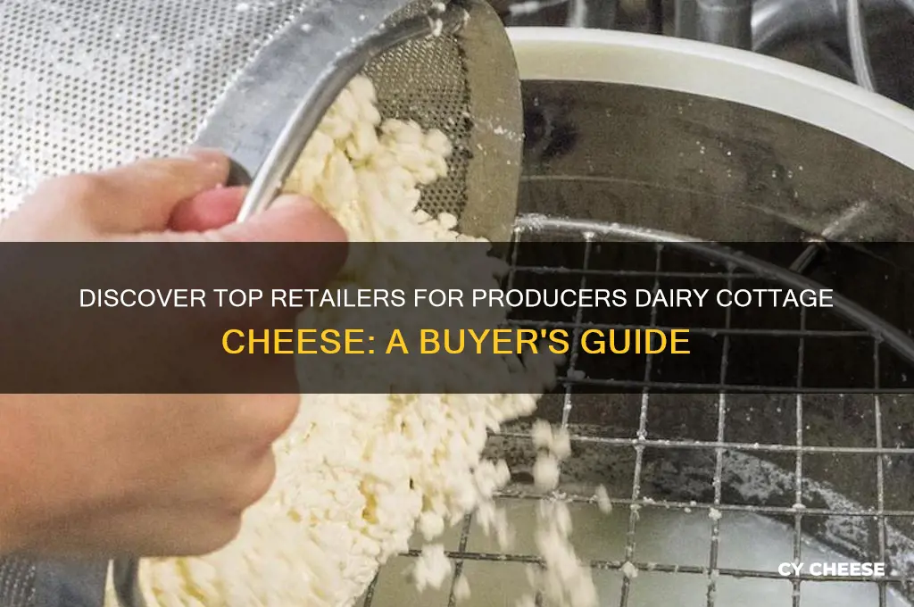 where to buy producers dairy cottage cheese