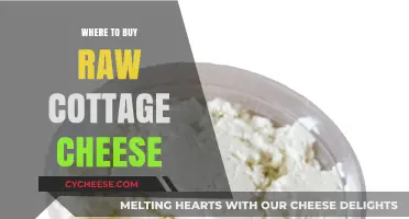 Discover the Best Places to Buy Raw Cottage Cheese Today