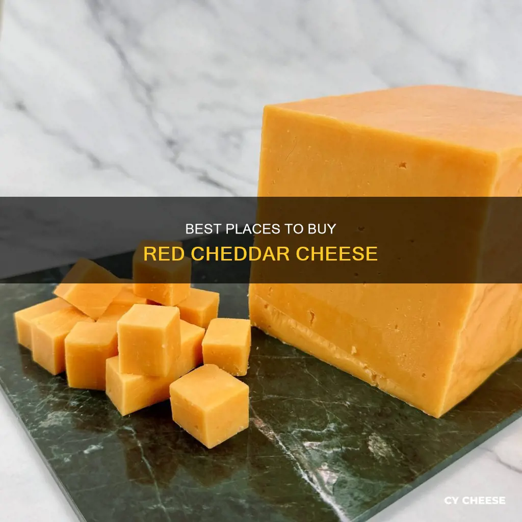 where to buy red cheddar cheese