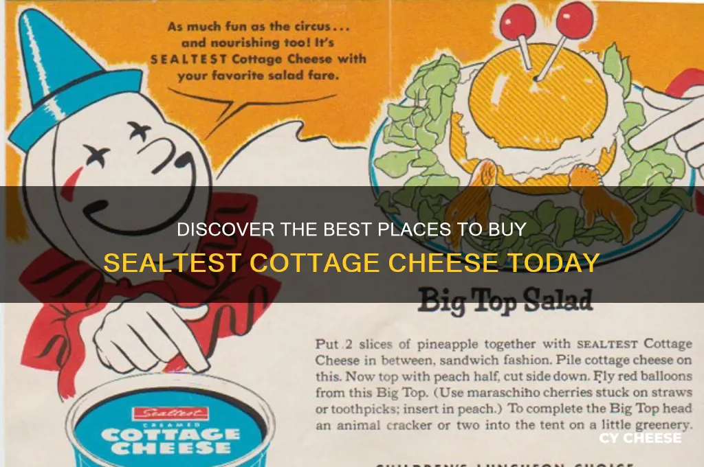 where to buy sealtest cottage cheese