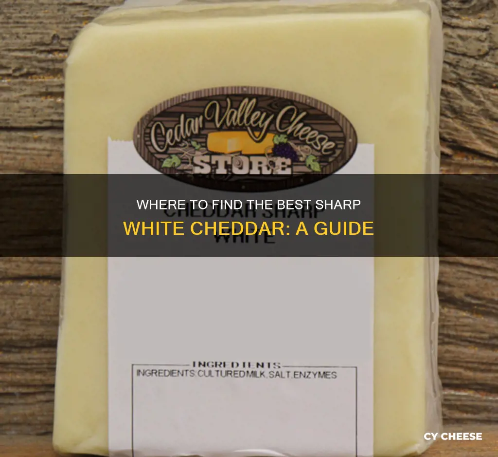 where to buy sharp white cheddar cheese