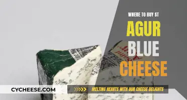 St. Agur Blue Cheese: Where to Buy This Delicacy