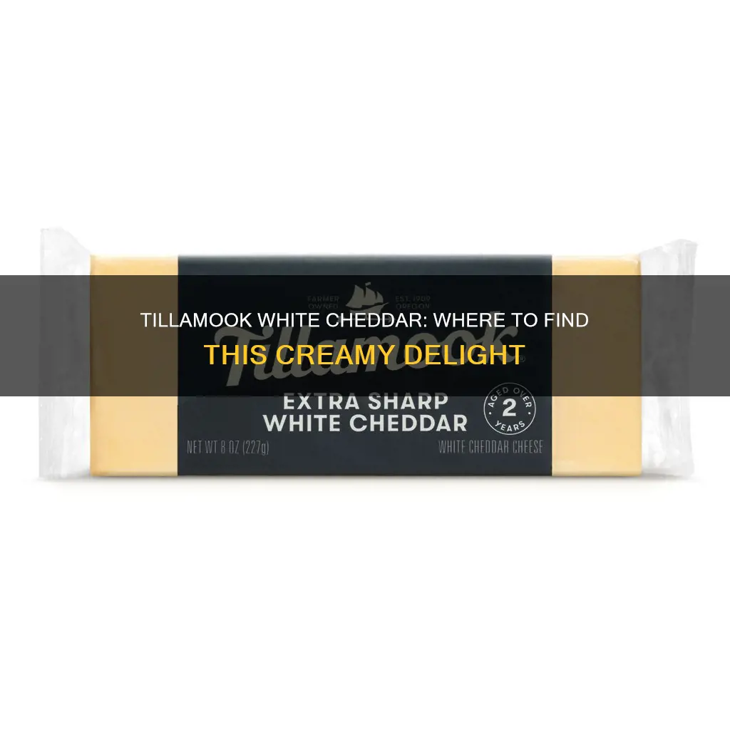 where to buy tillamook white cheddar cheese