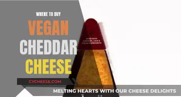 Vegan Cheddar: Top Sources for Plant-Based Cheese Lovers