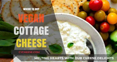 Discover the Best Places to Buy Vegan Cottage Cheese Today