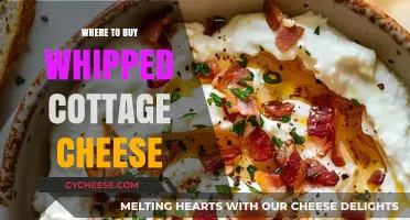 Discover the Best Places to Buy Whipped Cottage Cheese Today