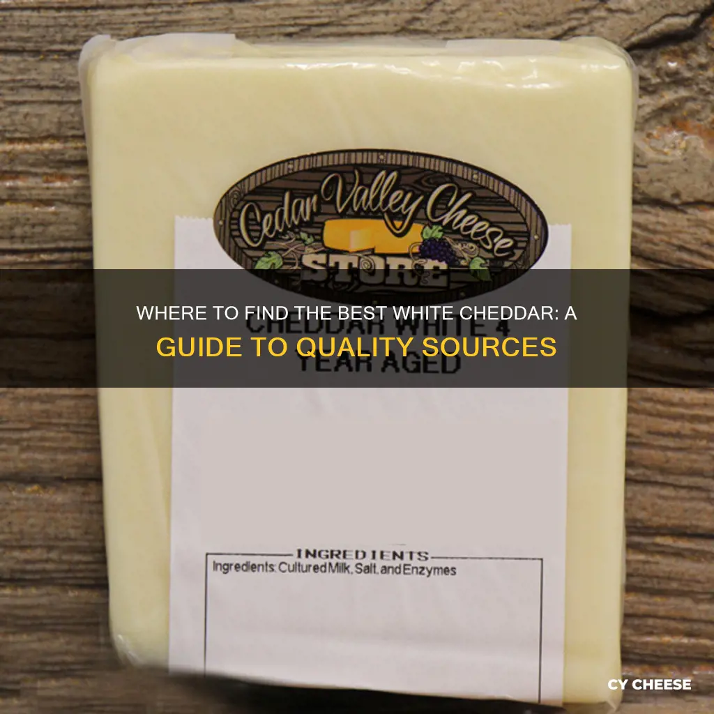 where to buy white cheddar cheese