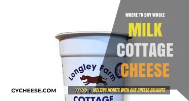 Best Places to Buy Whole Milk Cottage Cheese: A Shopper's Guide