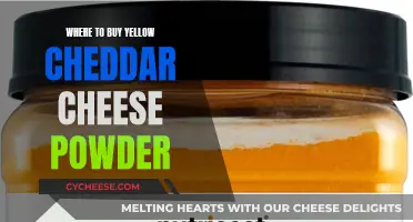 The Ultimate Guide to Buying Yellow Cheddar Cheese Powder