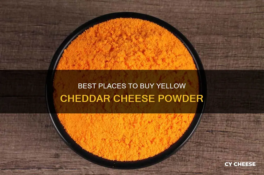 where to buy yellow cheddar cheese powder