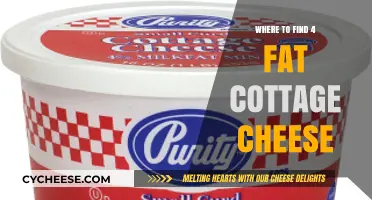 Discover the Best Places to Buy 4% Fat Cottage Cheese