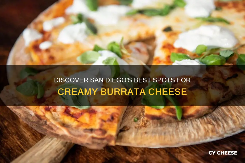 where to find burrata cheese in san diego