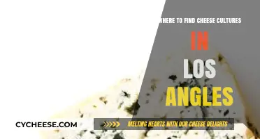 Discover Los Angeles' Best Sources for Cheese Cultures and Supplies