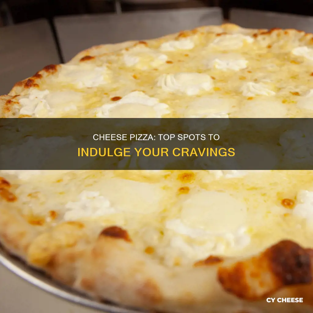 where to find cheese pizza