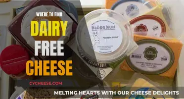 Explore Dairy-Free Cheese Options at These Places