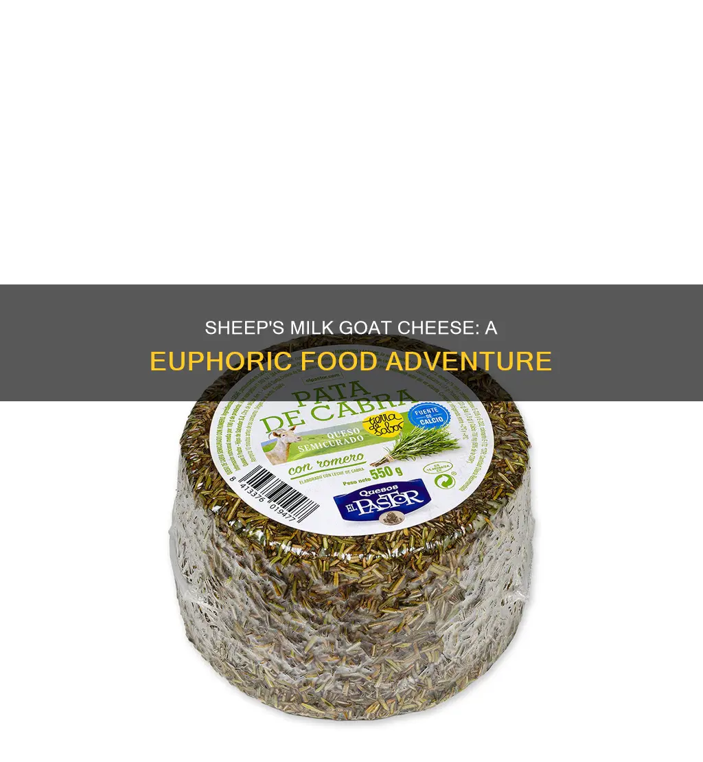 where to find euphoria sheep