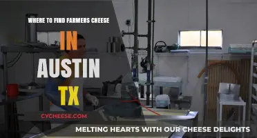 Discover Farmers Cheese in Austin: Top Local Shops & Markets