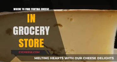 Where to Find Fontina Cheese in Your Grocery Store