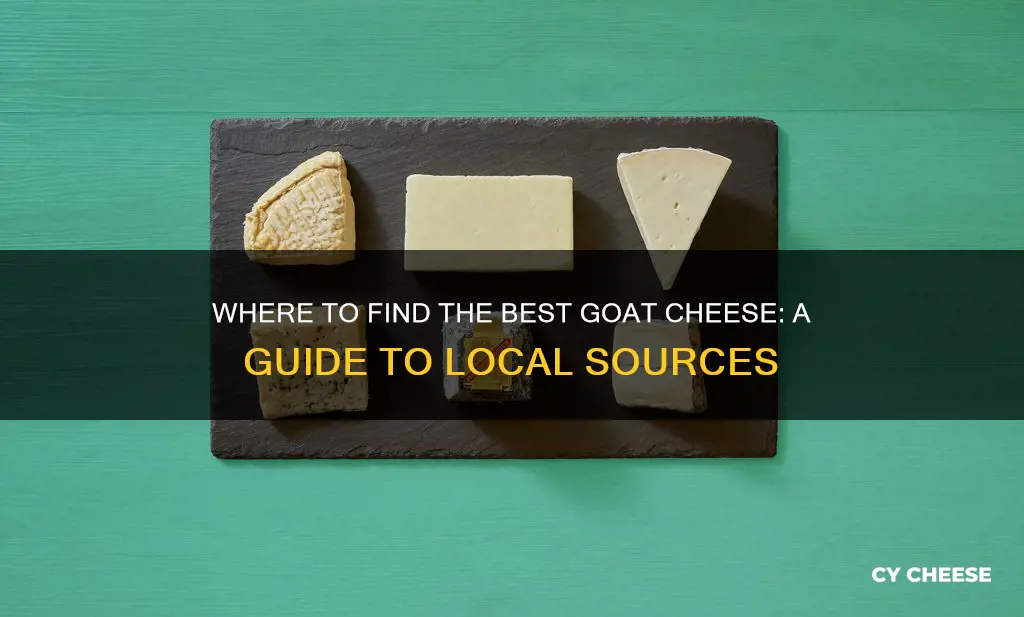 where to find goat cheese