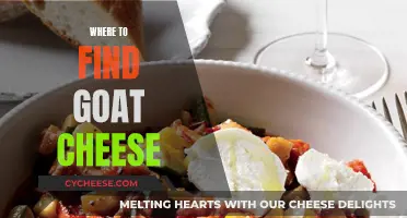Goat Cheese: Where to Find This Delicacy?