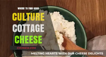 Discover the Best Spots for Authentic Culture Cottage Cheese
