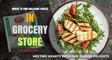 Where to Find Halloumi Cheese in Your Local Grocery Store