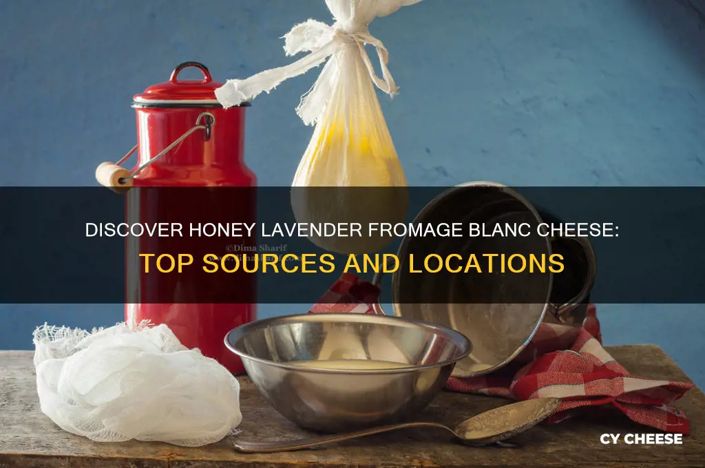 where to find honey lavender fromage blanc cheese